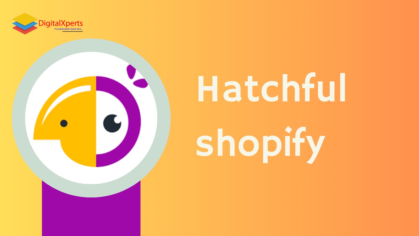 hatchfull shopify