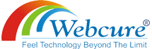 WEB DESIGN COMPANY IN LUCKNOW