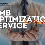 GMB Optimization Service in Noida